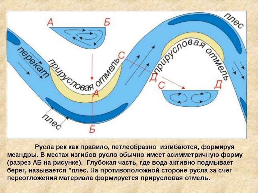 Внешние Изгибы Реки это Идеальное место для Рыбалки