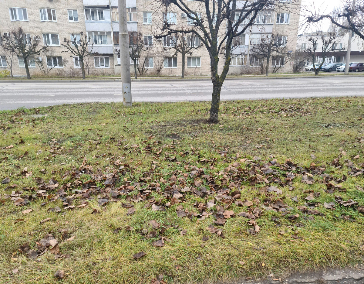 Пусть очищается даже вся земля и природа от неправильного и не того