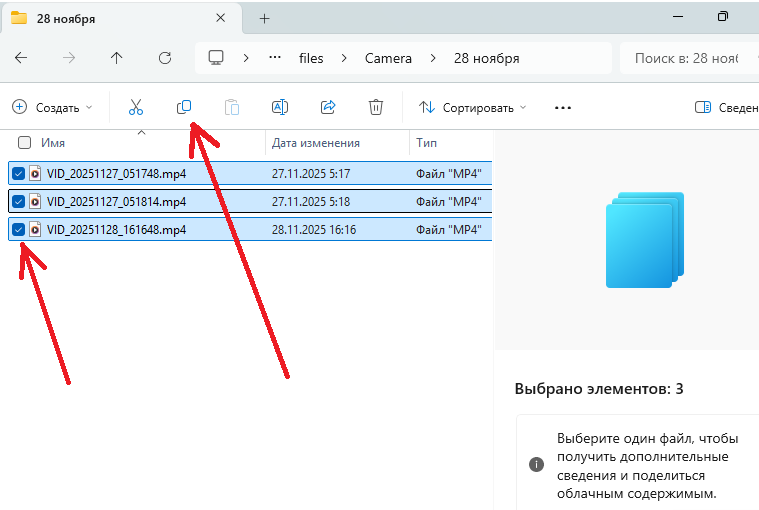 Рис.1 Выделение файлов перед копированием.