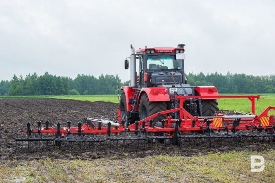   Максим Платонов / realnoevremya.ru