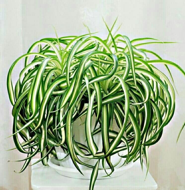 Источник Яндекс.фото 