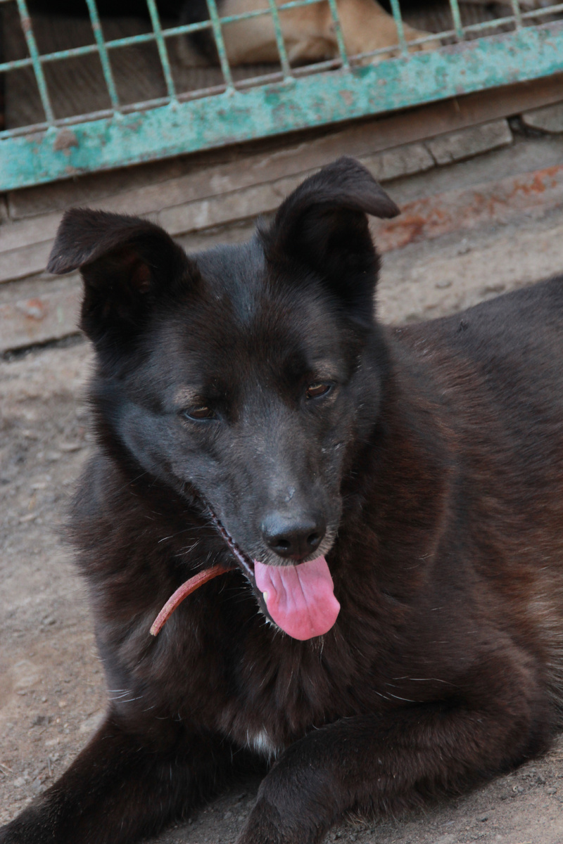 У меня гены хорошие!