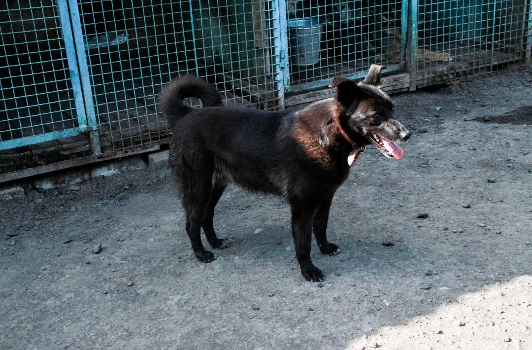 А вы не говорите правду вот и все