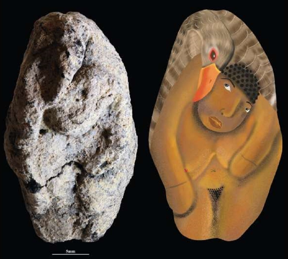     Фото: Laurent Davin, Hebrew University of Jerusalem, PNAS