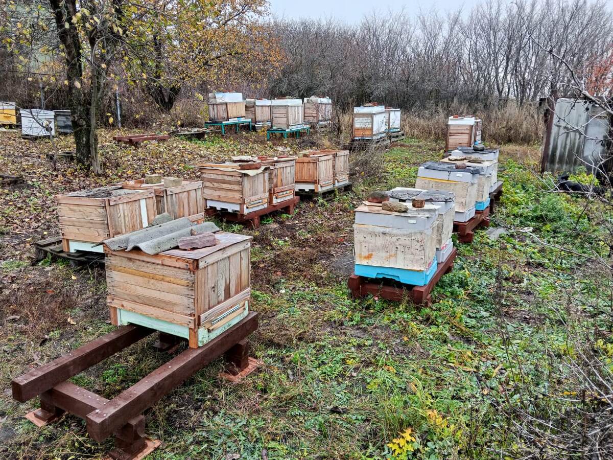 Ульи к зиме готовы