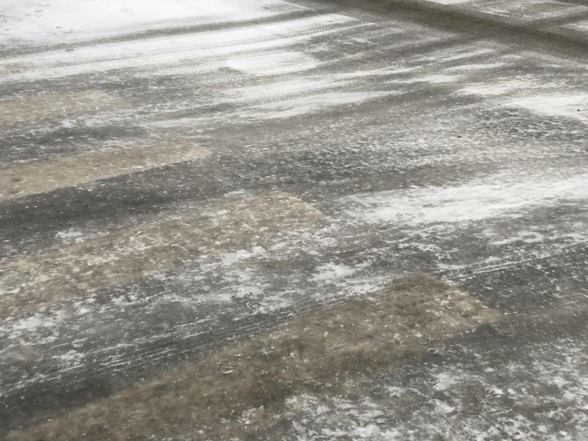 Фото: Neva.Today