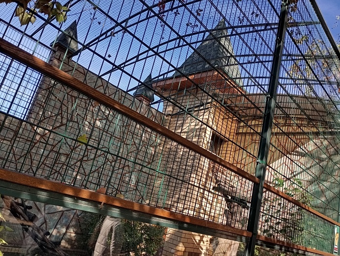 Нижний Новгород, 1 октября 2025