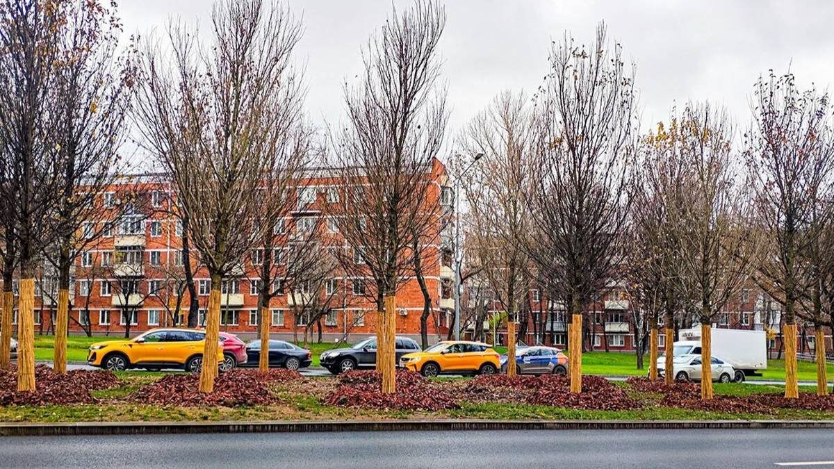    Фото: Пресс-служба комплекса городского хозяйства Москвы