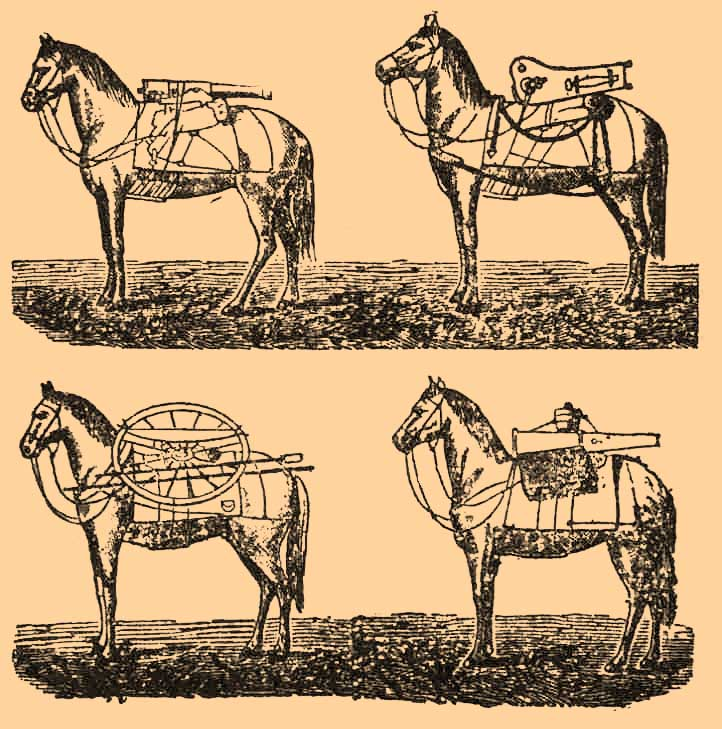 Лошади в артиллерии