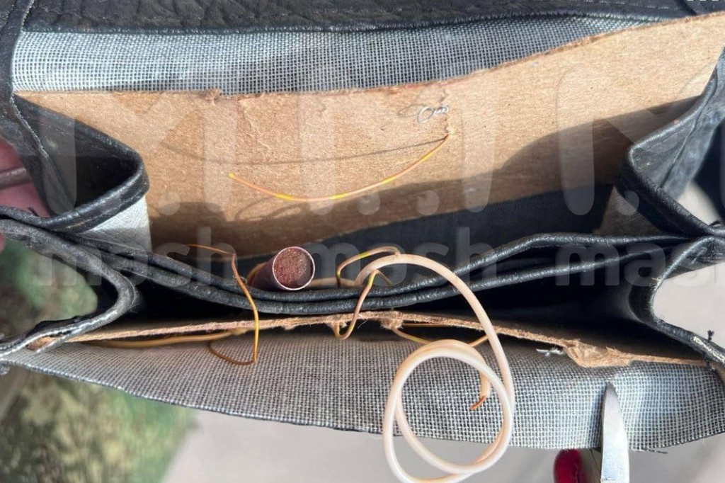    Фото © Telegram / Mash