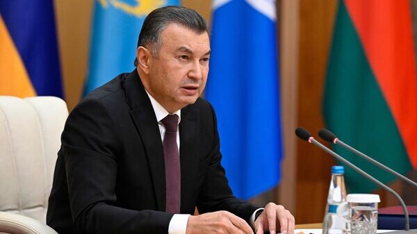    © Sputnik / POOL / Александр Миридонов