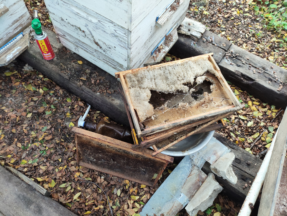 Рамки, подпорченные молью, завтра очищу от сот и перетоплю воск