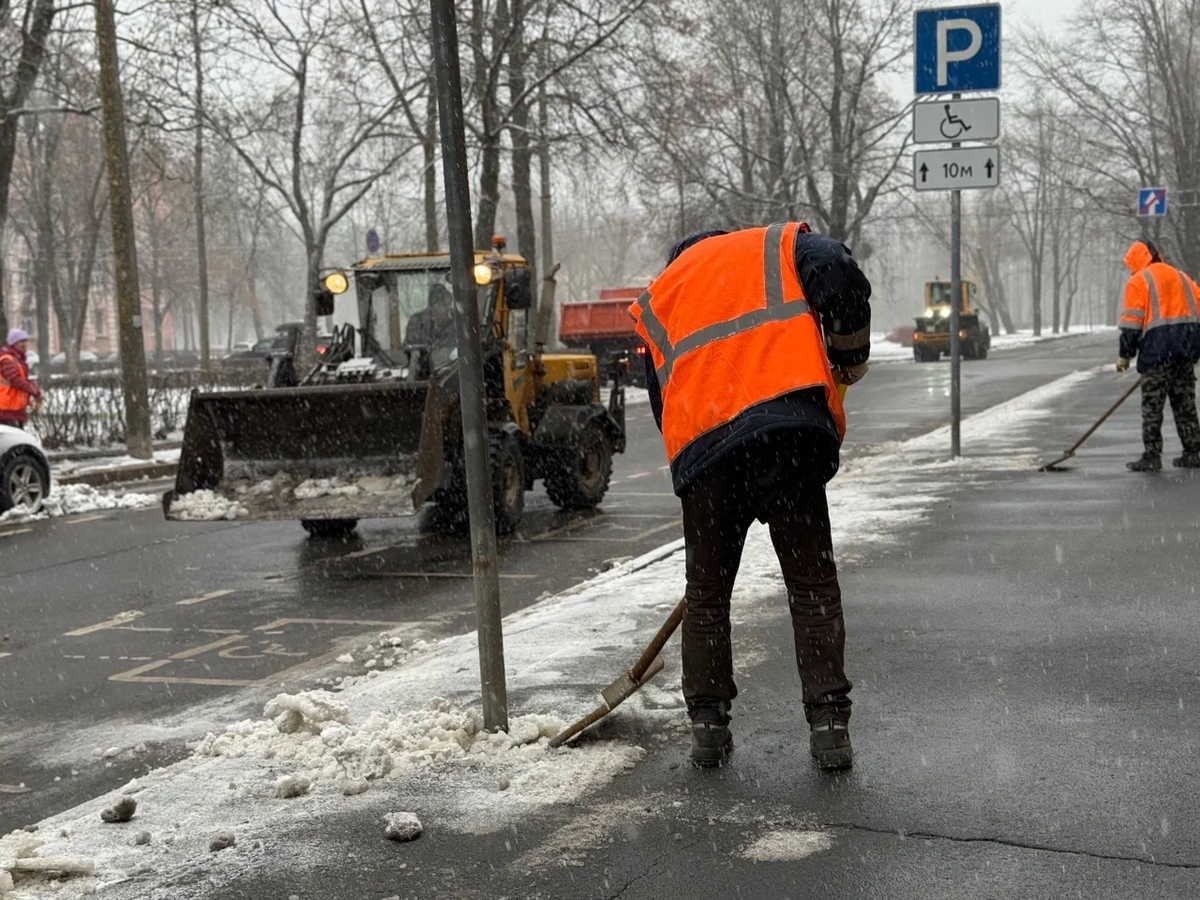 Фото: комитет по благоустройству Санкт-Петербурга