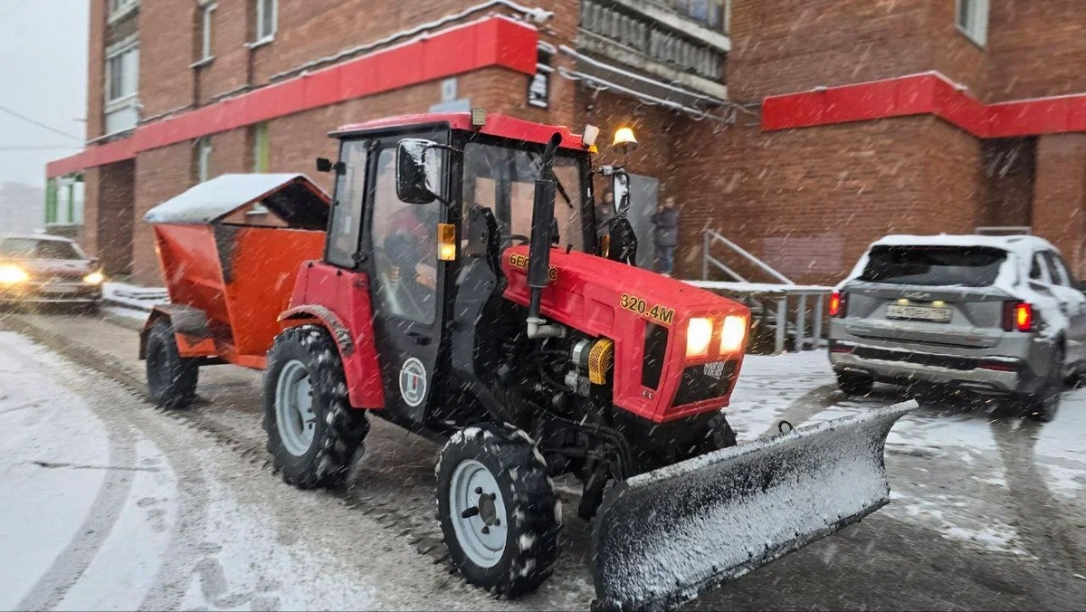 Фото: комитет по благоустройству Санкт-Петербурга
