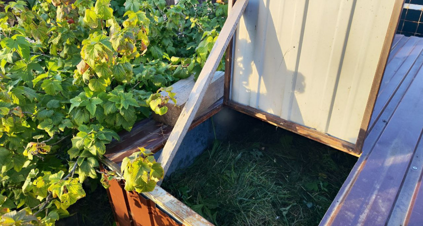    За зиму перегниют и толстенные ветки, и ботва, и даже пеньки: вот как я ускоряю компост - дачнику на заметку