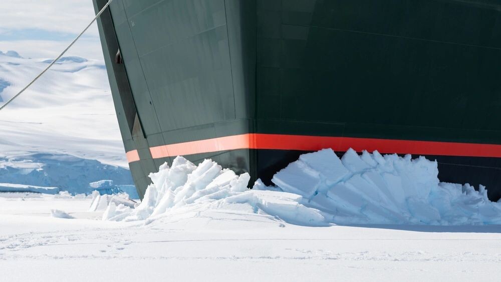    Фото: Nancy Pauwels/Shutterstock/Fotodom