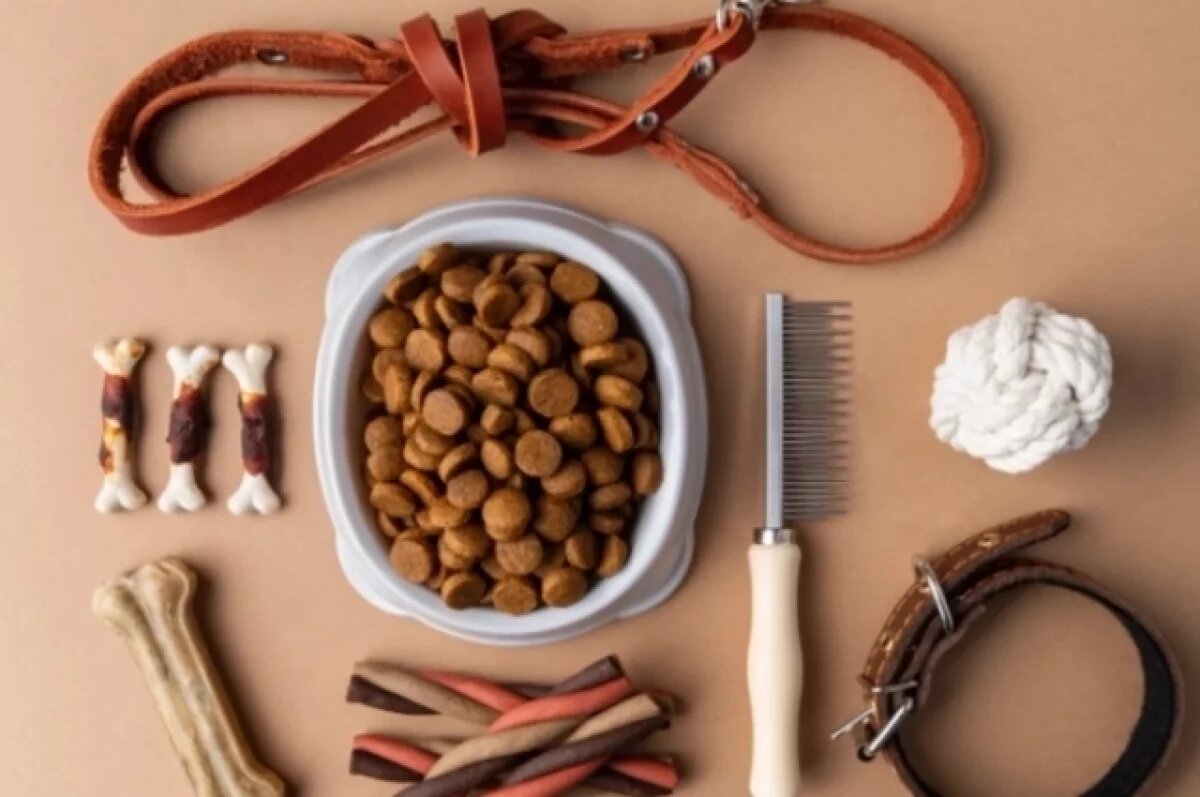    Речь идёт о новом тренде — выгуле невидимой собаки.