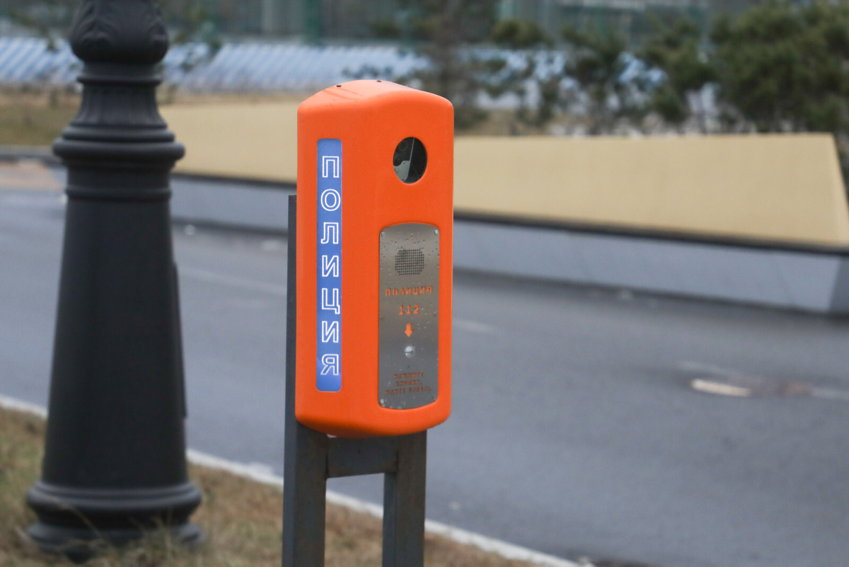 Александр Глуз/«Петербургский дневник»
