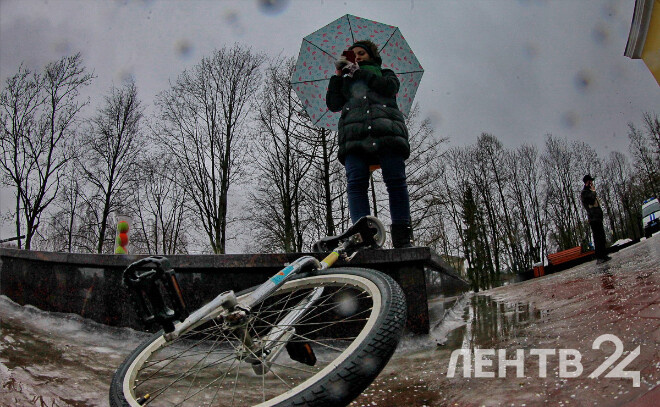    © Анастасия Илюшина / ЛенТВ24, архивное фото