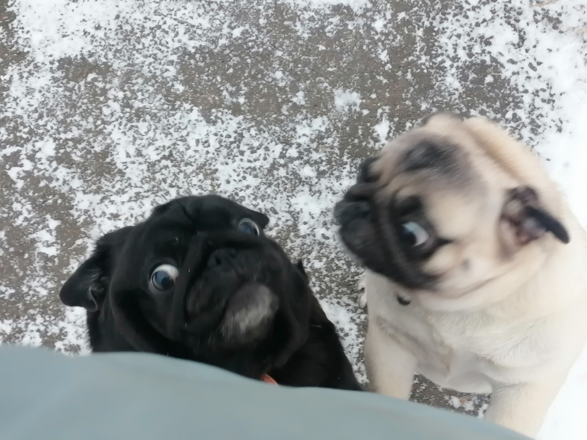 Афина и Бусинка