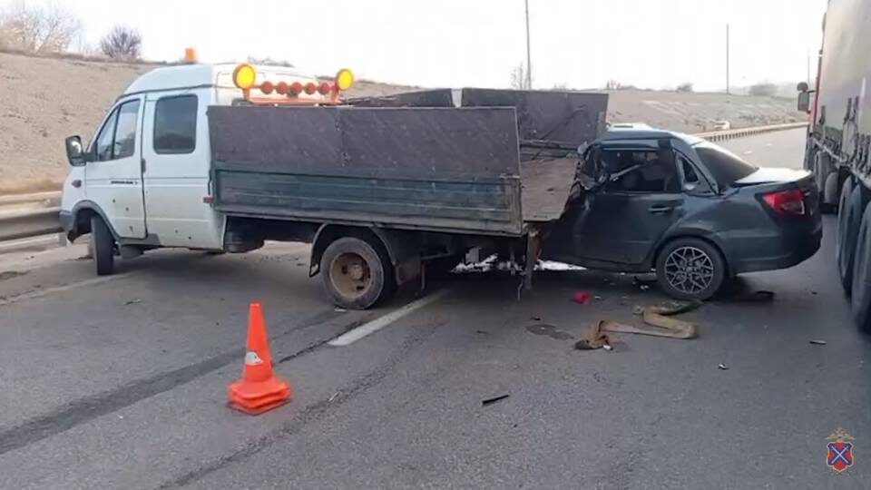    Фото: ГУ МВД России по Волгоградской области