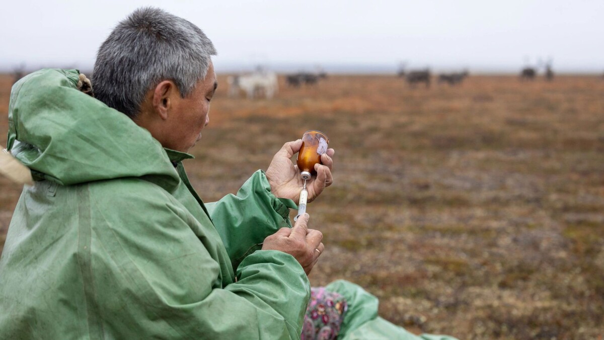    Фото: Федор Воронов/«Ямал-Медиа»