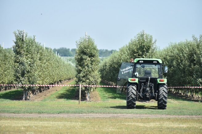    admkrai.krasnodar.ru