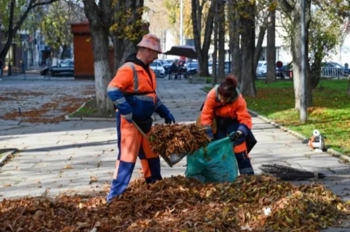    Стало известно, в какой сфере в Крыму осенью больше всего выросли зарплаты