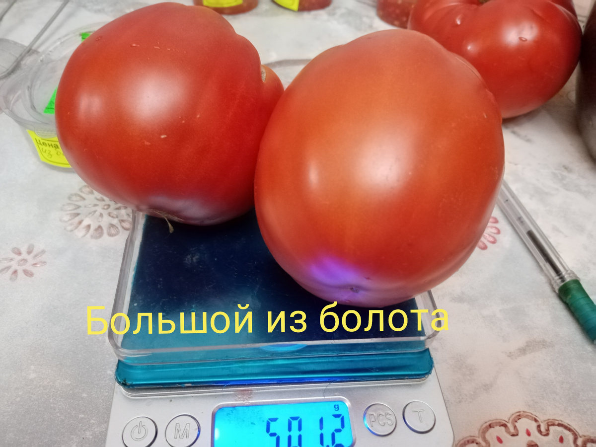 2Восхитительный Хой. Еще один мой любимец.Выходец из США.Среднеспелый. Индотерминант. Массой до 500г. Оправдывает свое название во всем. Куст мощный, но не неряшлив. Вела в два ствола. Количество завязей не нормировала, но тем не менее мелких томатов не было. Плоды сочные, мясистые, восхитительного вкуса. СУПЕР!