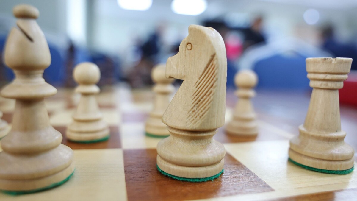    Фото: Андрей Ткачев / «Ямал-Медиа»