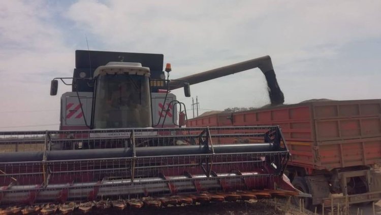    Фото: Минсельхоз Ставропольского края