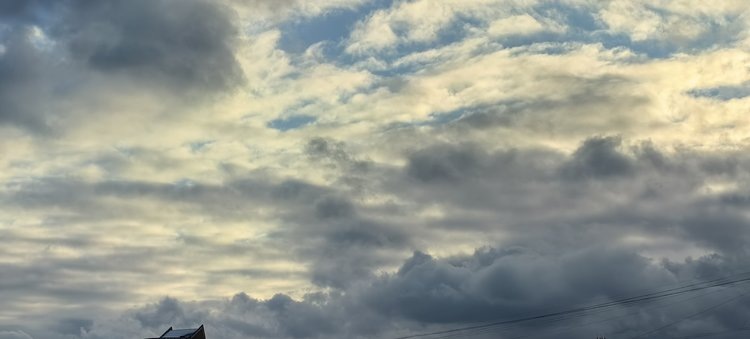    Фото: Лукьянов Дмитрий, AgroXXI.ru