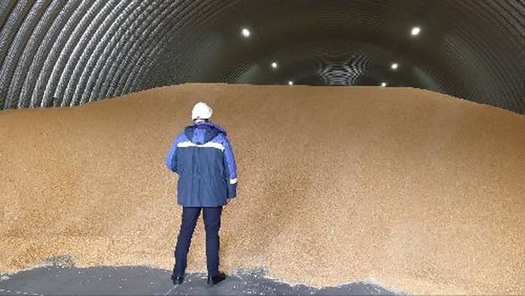    Фото: Комитет сельского хозяйства Волгоградской области