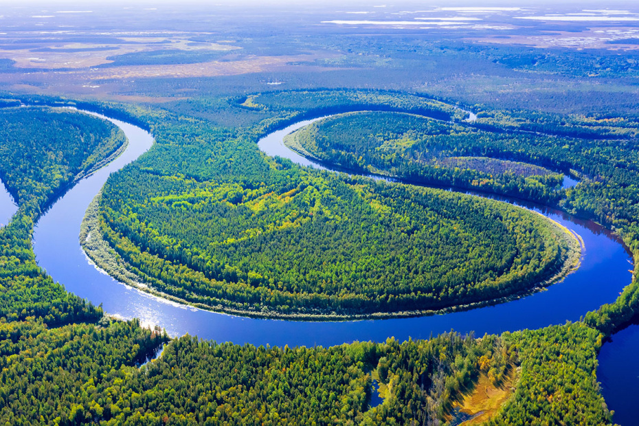    Shutterstock/FOTODOM