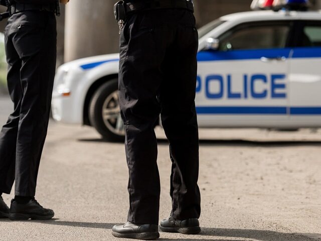    Фото: 123RF.com/lightfieldstudios