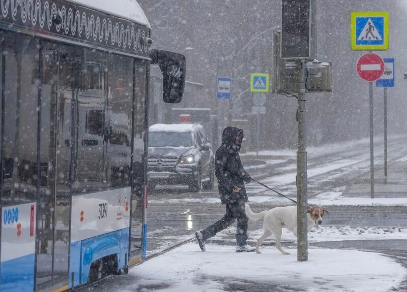     / Источник: © ИЗВЕСТИЯ/Дмитрий Коротаев