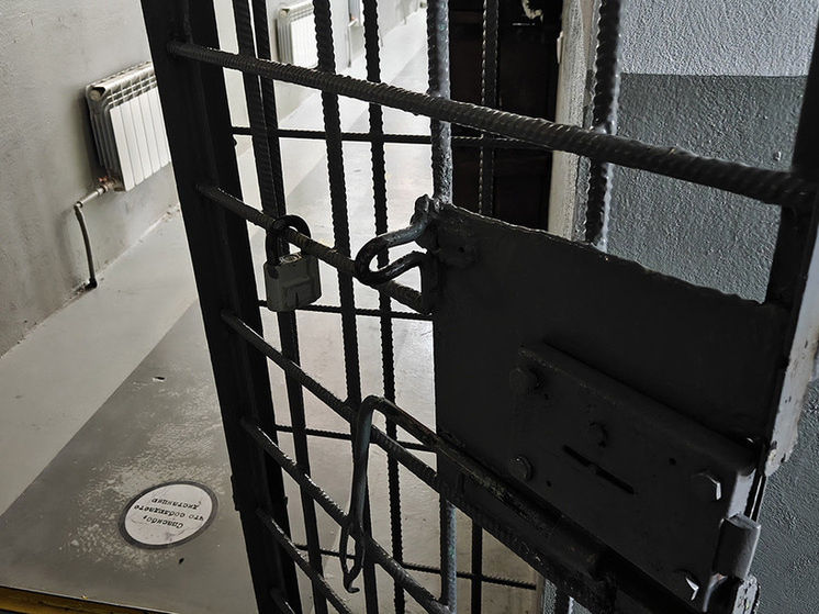     История юной петербурженки похожа на сюжет плохого боевика. Фото: «МК в Питере»