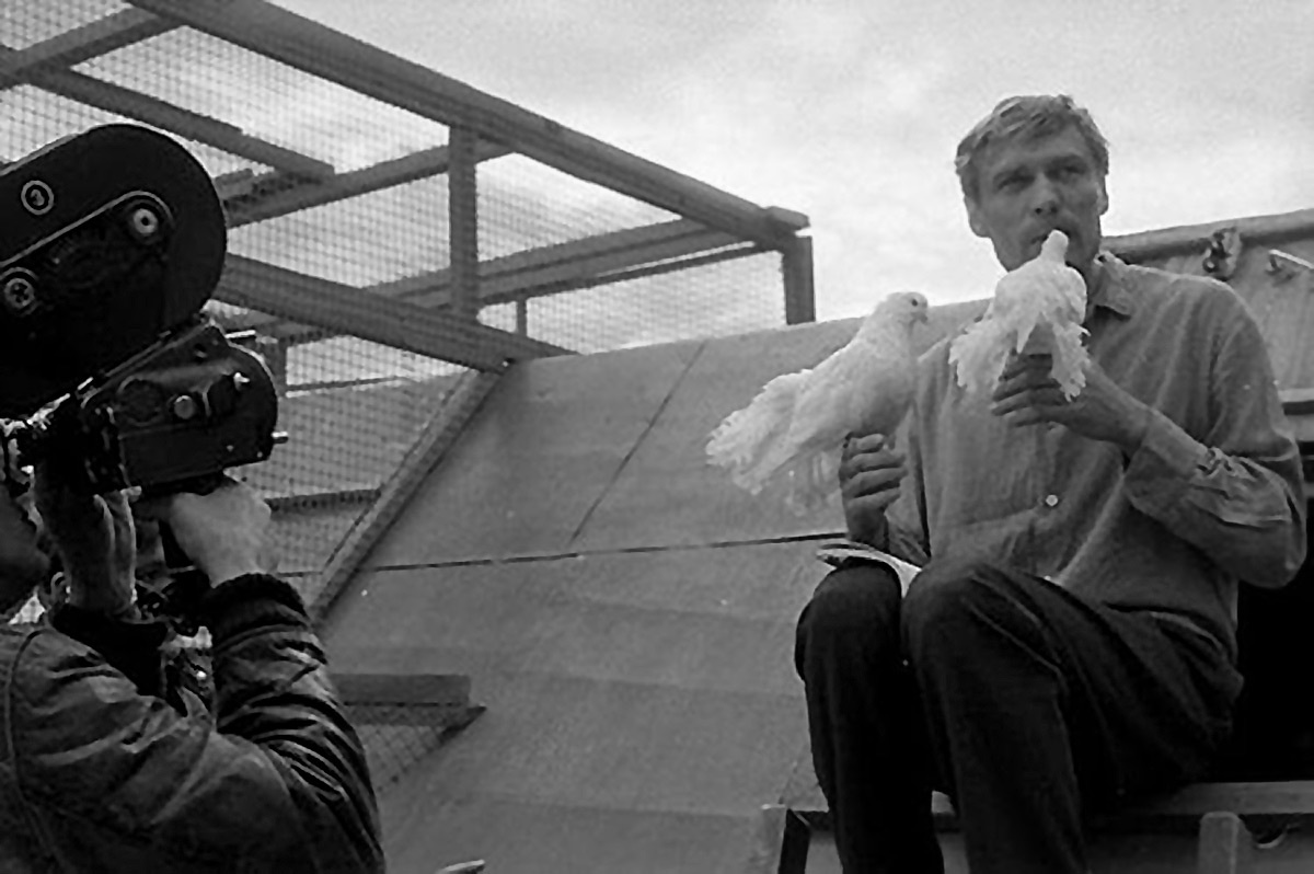 голуби на руках у Александра Михайлова.
