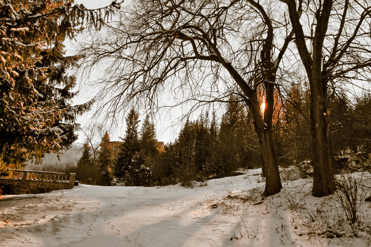 Зимний закат, Россия. Источник фото: shutterstock.com