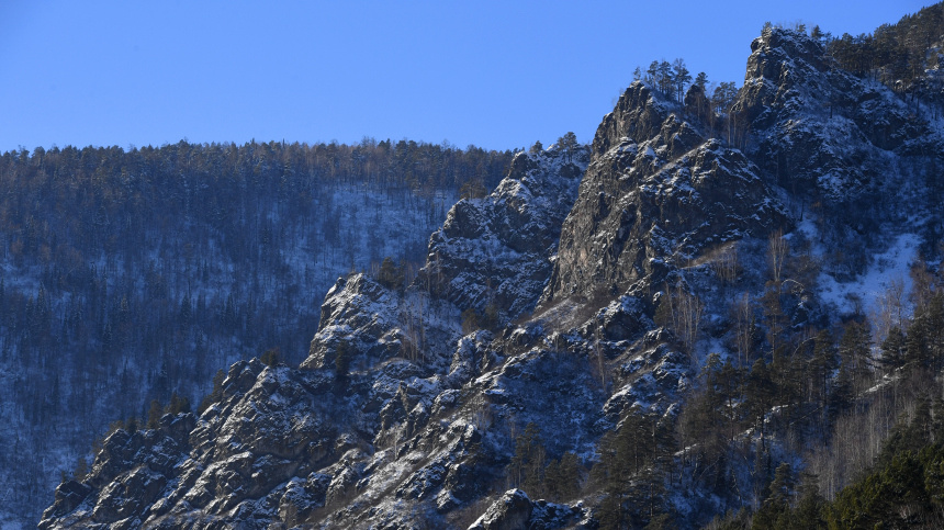    Фото: © РИА Новости/Илья Наймушин