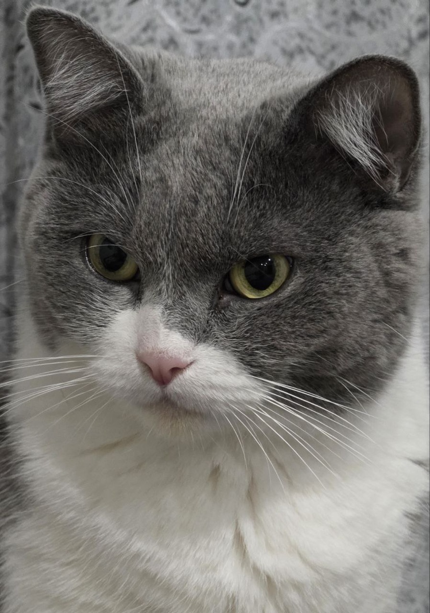 В ожидании.