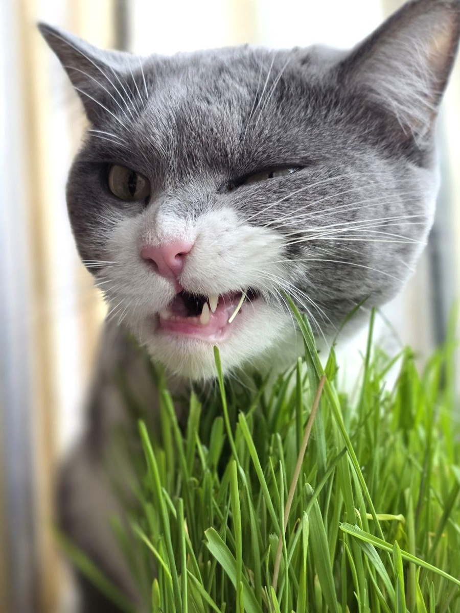 ПРобуем на зуб.