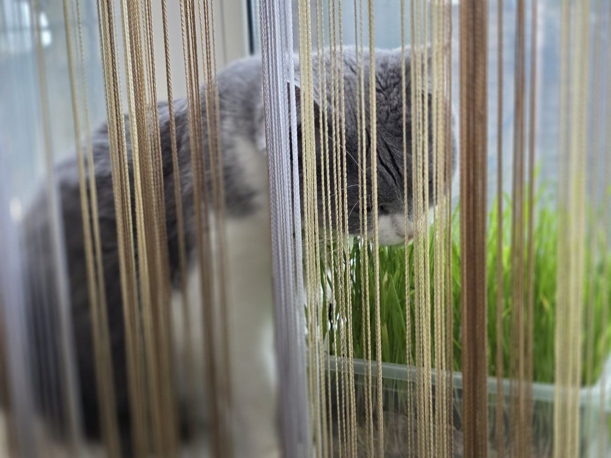 Не достать.