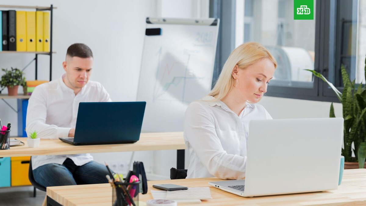    Фото: freepik.com