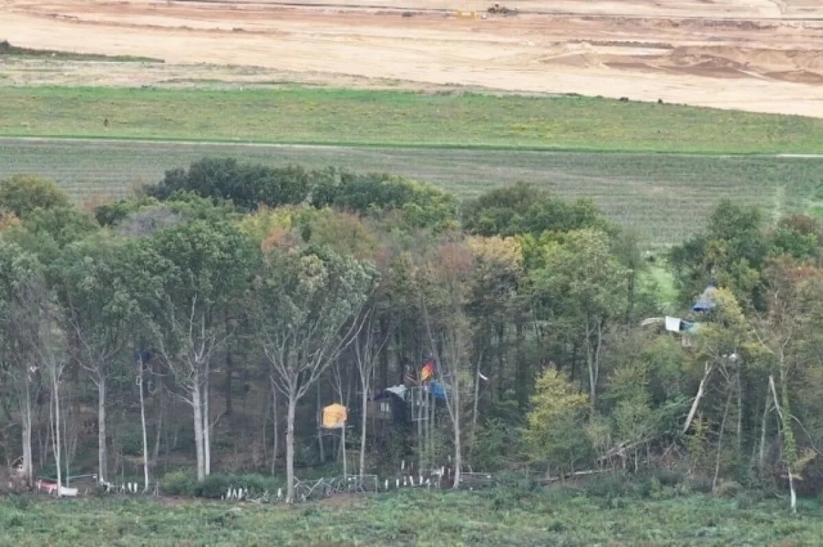    Полиция Германии начала выселять поселившихся на деревьях в лесу активистов
