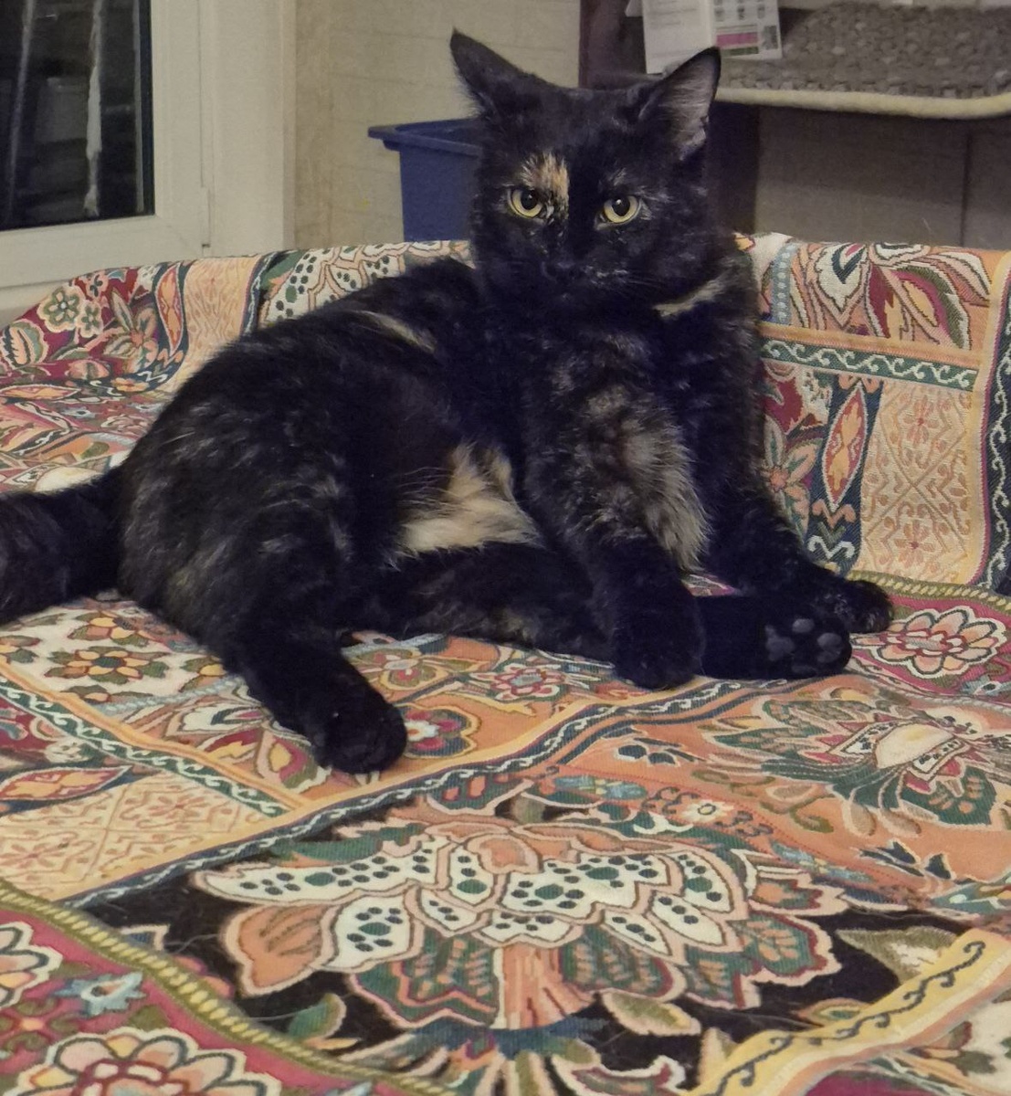 Про меня, да, про меня?