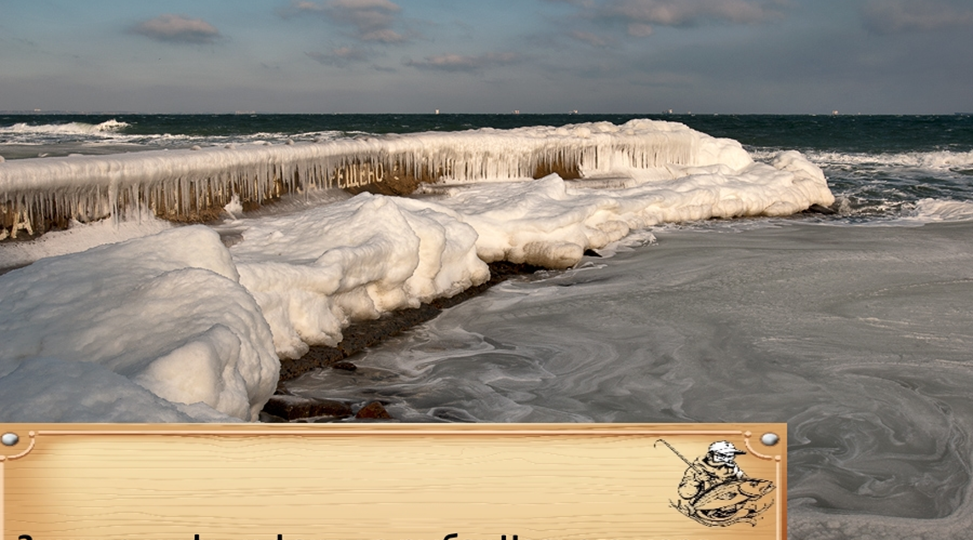 Зимние мифы и факты о рыбах Черного моря