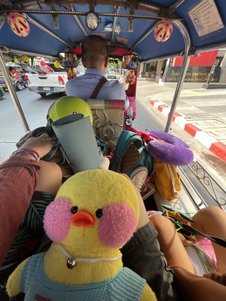 В эту поездку пингвин Ковальский остался дома (для тех, кто следит за всеми нашими путешествиями). По островам гуляла уточка Ути-тьфути)) И наша ручная кладь, которая каким-то чудом со своим перевесом не отправилась в багаж)))