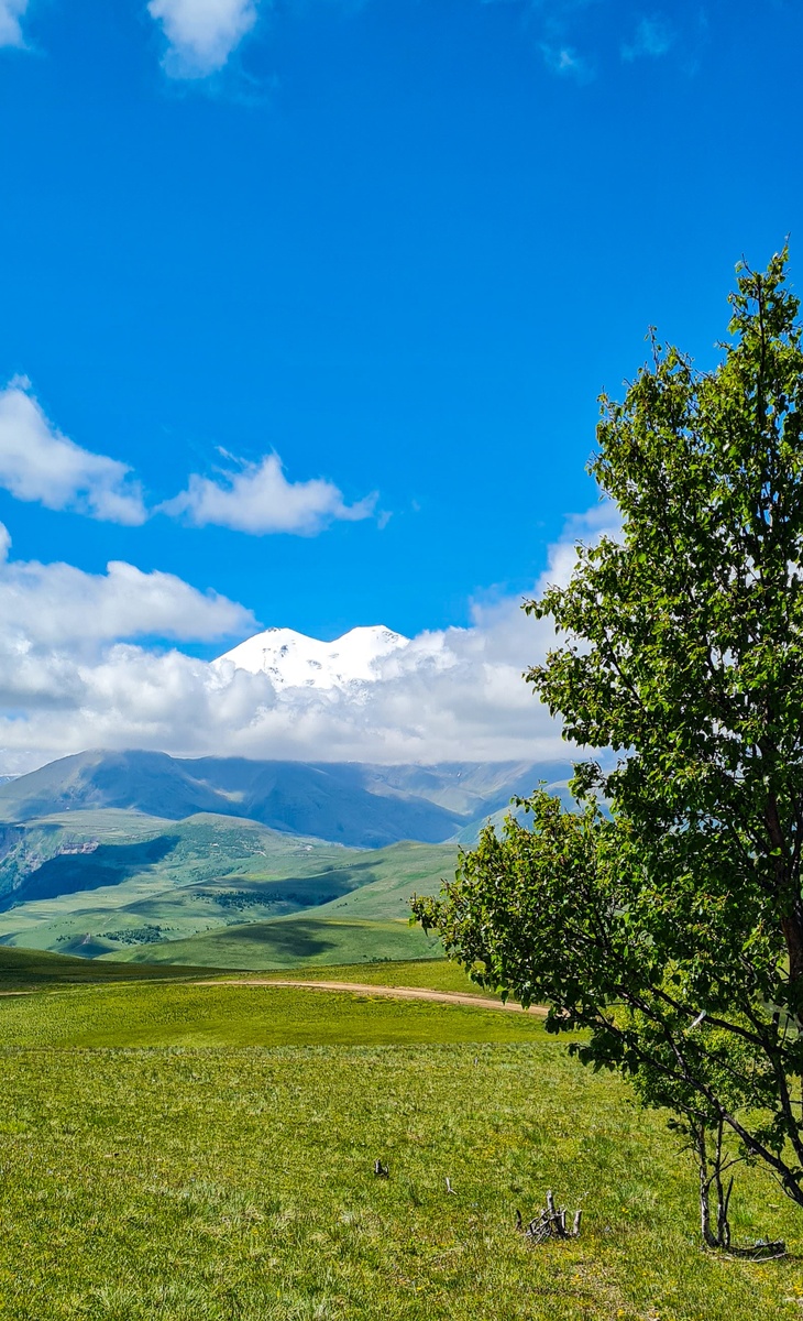 Эльбрус укрыт одеялом из облаков.