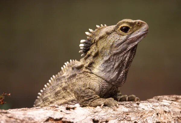    Kevin Schager/Alamy Stock Photo